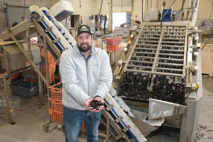 MUSSEL MAN: Gregory Silkes is a co-owner and the general manager of American Mussel Harvesters in North Kingstown. The shellfish operation recently underwent an online facelift, updating its website, tweaking its logo and streamlining its sales focus to present a consistent message to customers. / PBN PHOTO/MIKE SKORSKI